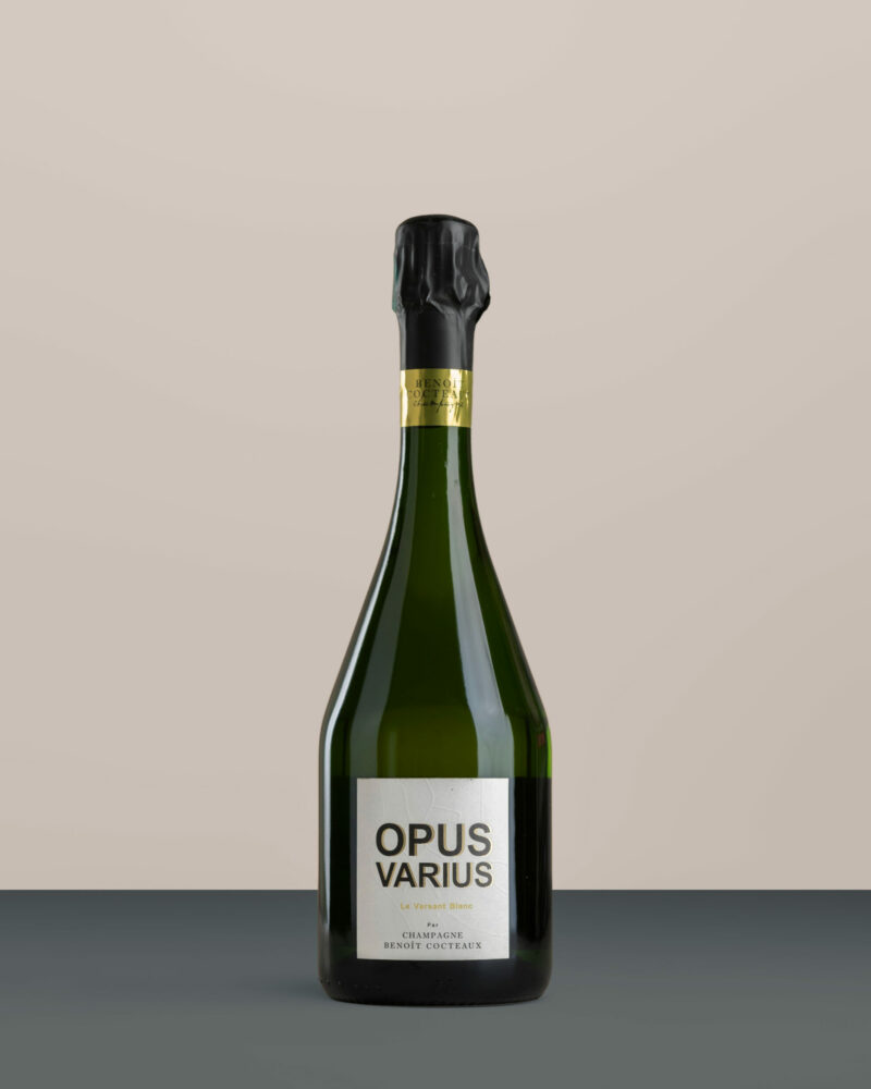 Benoit Cocteaux – Opus Varius – Le Versant Blanc