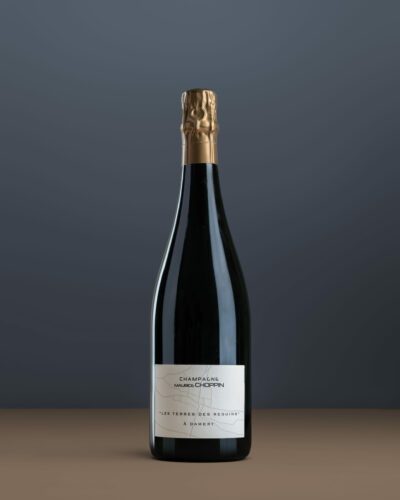 Maurice Choppin – Les Terres des Reguins