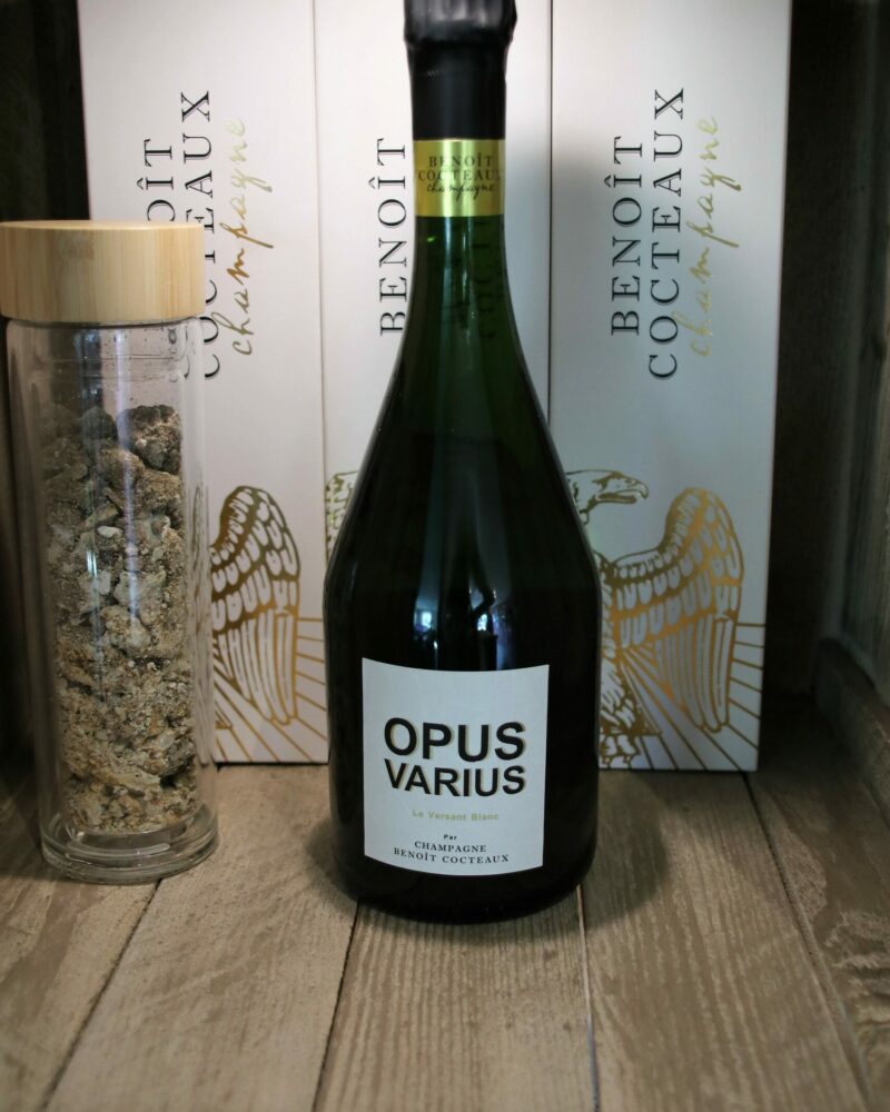 Benoit Cocteaux – Opus Varius – Le Versant Blanc - Afbeelding 3