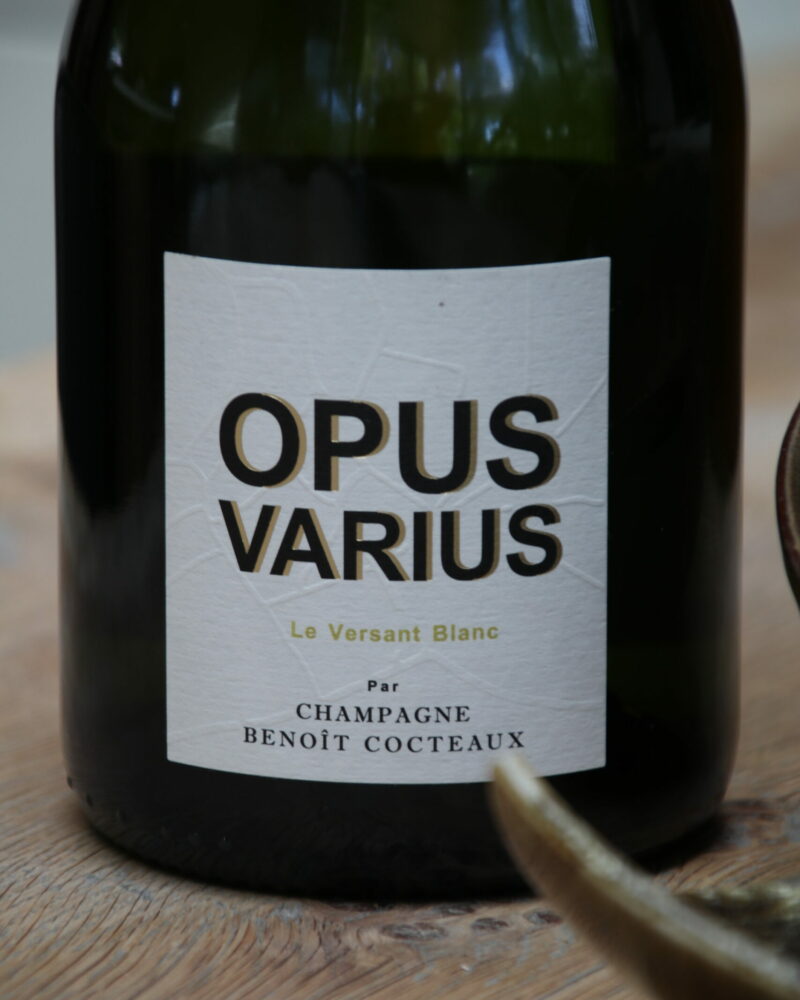 Benoit Cocteaux – Opus Varius – Le Versant Blanc - Afbeelding 4