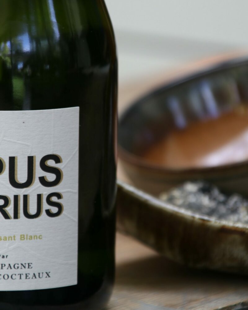 Benoit Cocteaux – Opus Varius – Le Versant Blanc - Afbeelding 5
