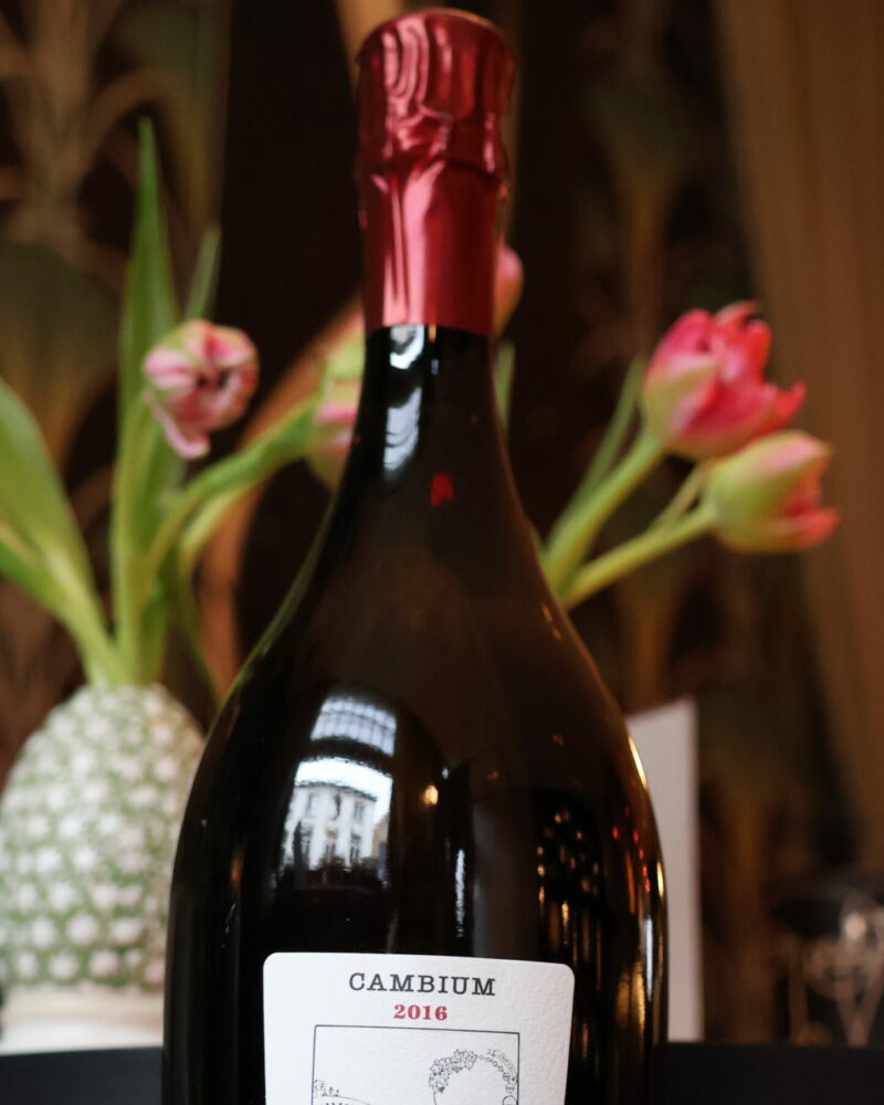 Lionel Girard & Fils – Cambium 2016 – Brut - Afbeelding 5