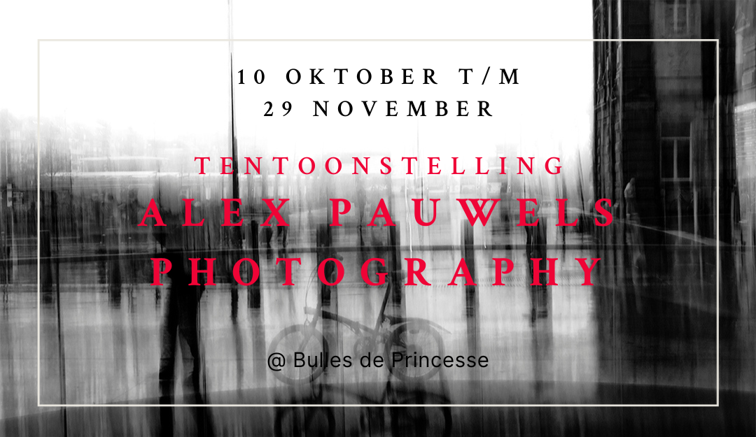 Tentoonstelling – Alex Pauwels